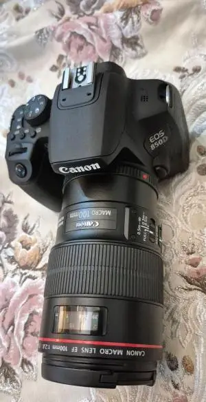 stock