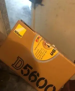 stock