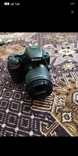 stock