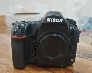 stock
