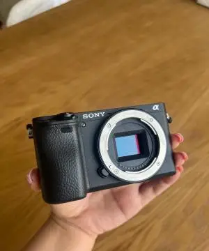 stock