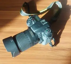 stock