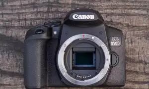 stock