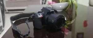 stock