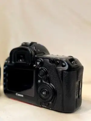 stock