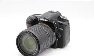 stock