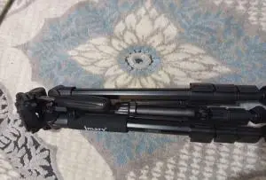 stock