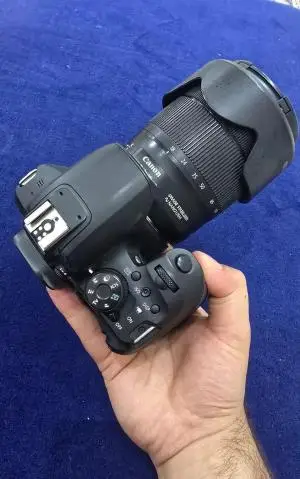 stock