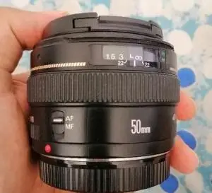 stock