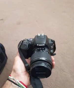 stock