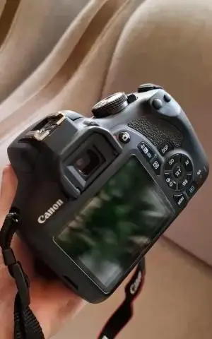 stock
