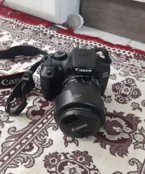 stock