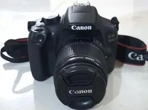 stock