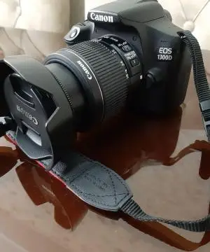 stock