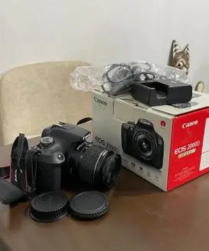 stock