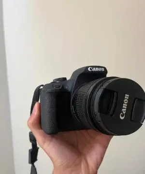 stock