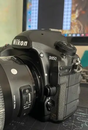 stock