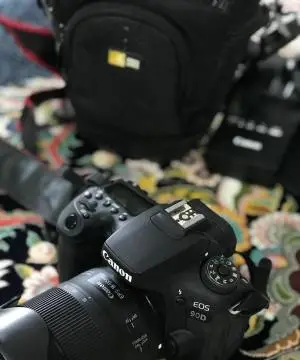 stock