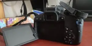 stock