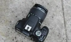 stock