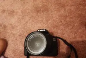 stock