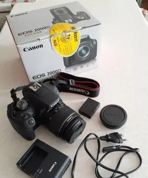 stock