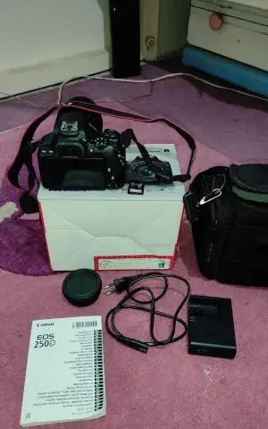 stock