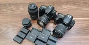 stock