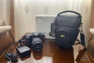 stock