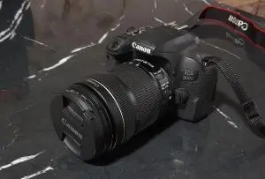 stock