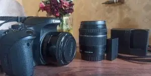 stock