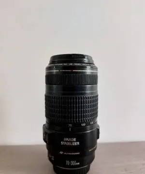 stock