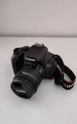 stock