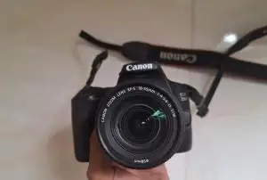 stock
