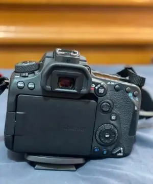 stock