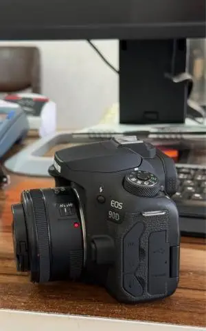 stock