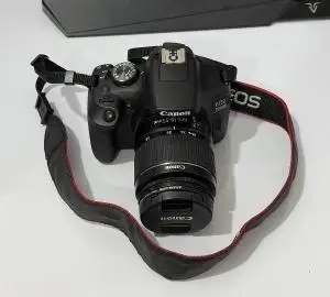 stock