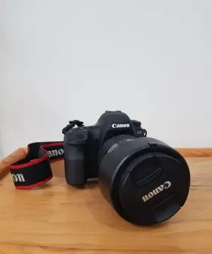 stock
