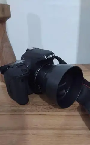 stock