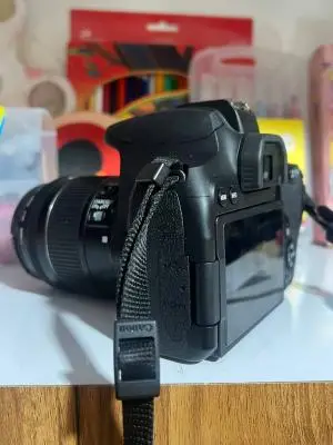 stock