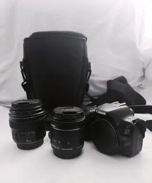 stock