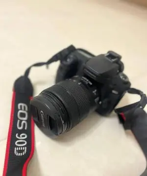 stock