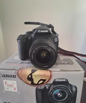 stock