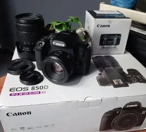 stock