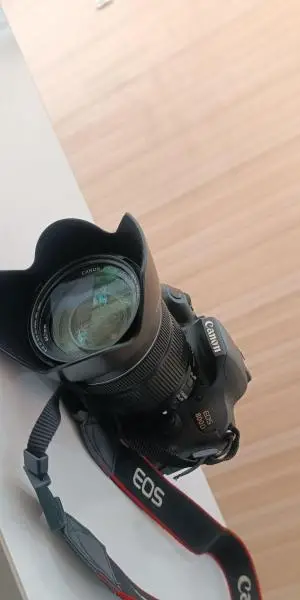 stock