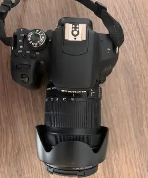 stock
