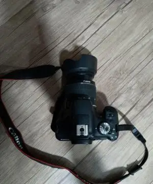 stock