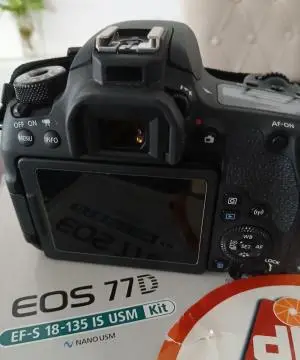 stock