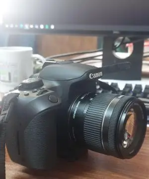 stock