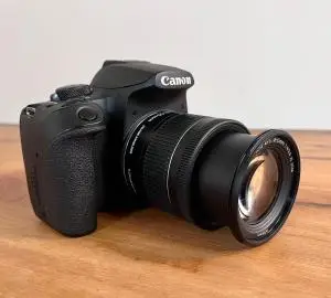 stock